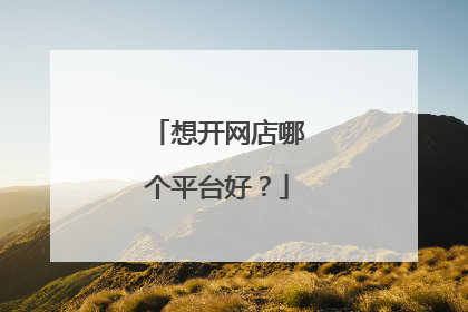 想开网店哪个平台好?