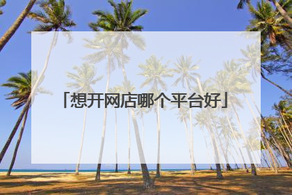 想开网店哪个平台好