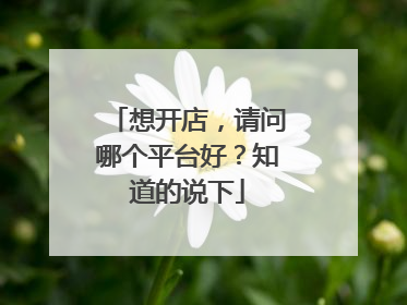 想开店,请问哪个平台好?知道的说下