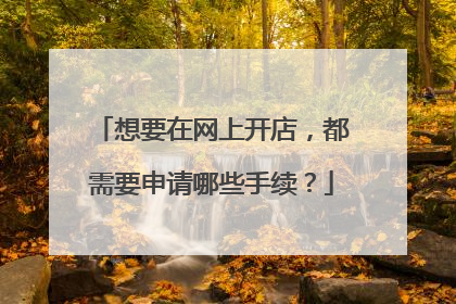 想要在网上开店，都需要申请哪些手续？