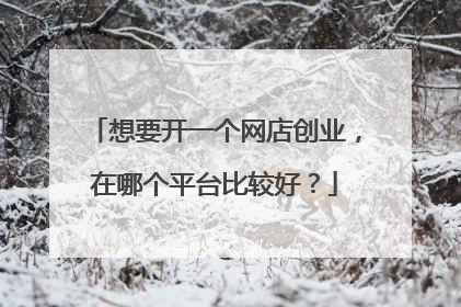 想要开一个网店创业,在哪个平台比较好?