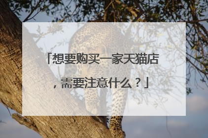 想要购买一家天猫店，需要注意什么？