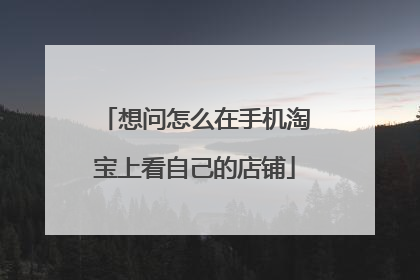 想问怎么在手机淘宝上看自己的店铺