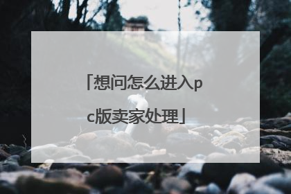 想问怎么进入pc版卖家处理
