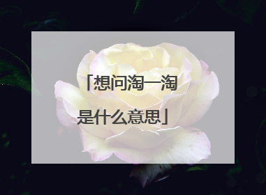 想问淘一淘是什么意思