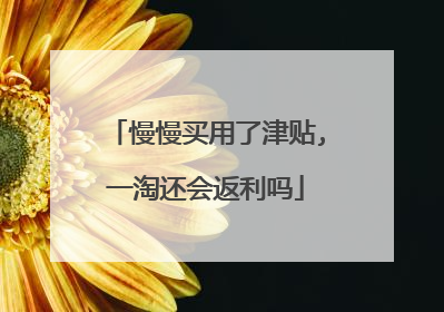 慢慢买用了津贴,一淘还会返利吗