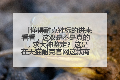 懂得耐克鞋标的进来看看,这双是不是真的,求大神鉴定? 这是在天猫耐克官网这款商品的买家评论里面看