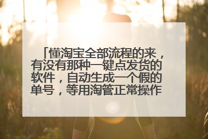懂淘宝全部流程的来,有没有那种一键点发货的软件,自动生成一个假的单号,等用淘管正常操作能改过来的那