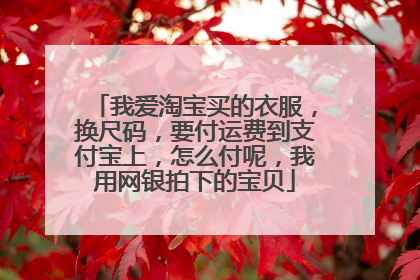 我爱淘宝买的衣服,换尺码,要付运费到支付宝上,怎么付呢,我用网银拍下的宝贝