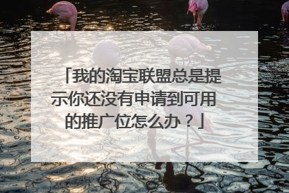 我的淘宝联盟总是提示你还没有申请到可用的推广位怎么办?