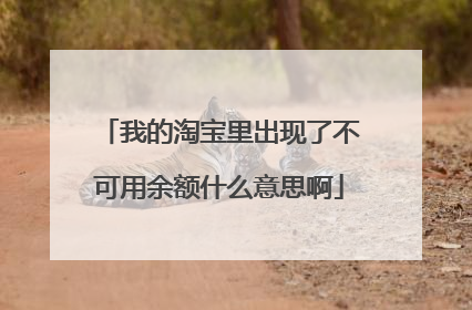我的淘宝里出现了不可用余额什么意思啊