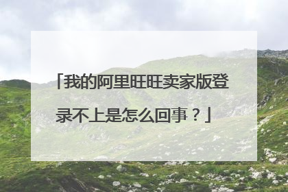 我的阿里旺旺卖家版登录不上是怎么回事？