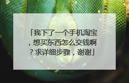 我下了一个手机淘宝,想买东西怎么交钱啊?求详细步骤,谢谢