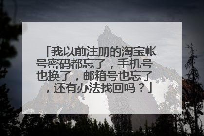 我以前注册的淘宝帐号密码都忘了，手机号也换了，邮箱号也忘了，还有办法找回吗？