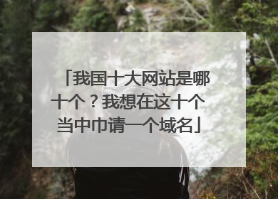 我国十大网站是哪十个?我想在这十个当中巾请一个域名