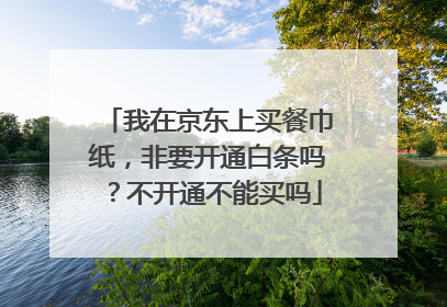 我在京东上买餐巾纸,非要开通白条吗?不开通不能买吗
