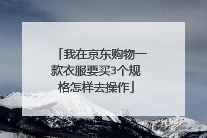 我在京东购物一款衣服要买3个规格怎样去操作