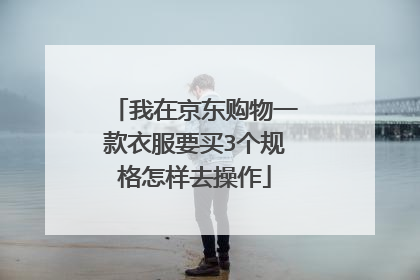我在京东购物一款衣服要买3个规格怎样去操作