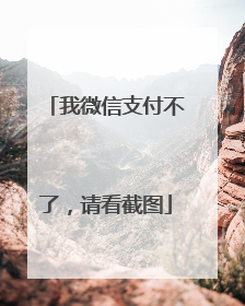 我微信支付不了,请看截图