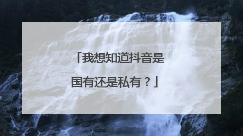 我想知道抖音是国有还是私有?