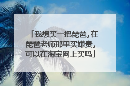 我想买一把琵琶,在琵琶老师那里买嫌贵,可以在淘宝网上买吗