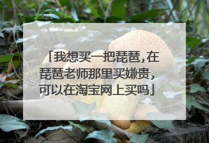 我想买一把琵琶,在琵琶老师那里买嫌贵,可以在淘宝网上买吗
