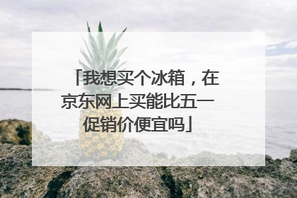 我想买个冰箱，在京东网上买能比五一促销价便宜吗