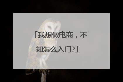 我想做电商，不知怎么入门?