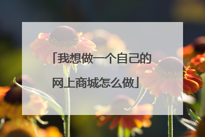 我想做一个自己的网上商城怎么做
