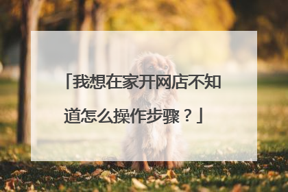 我想在家开网店不知道怎么操作步骤?
