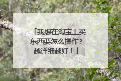 我想在淘宝上买东西要怎么操作?越详细越好!