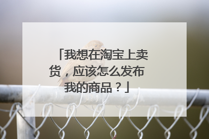 我想在淘宝上卖货,应该怎么发布我的商品?