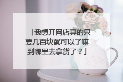 我想开网店真的只要几百块就可以了嘛到哪里去拿货了?