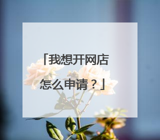 我想开网店 怎么申请？