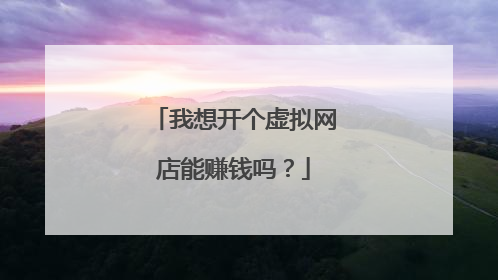 我想开个虚拟网店能赚钱吗？