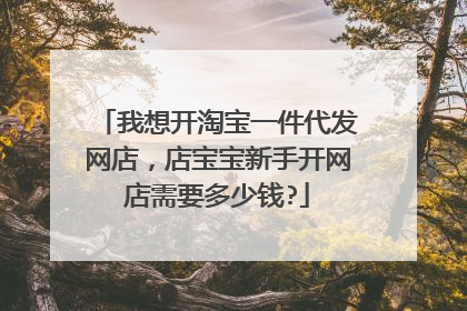 我想开淘宝一件代发网店,店宝宝新手开网店需要多少钱?