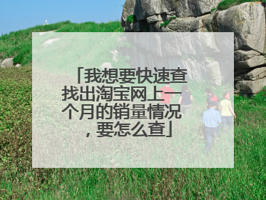 我想要快速查找出淘宝网上一个月的销量情况,要怎么查