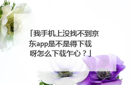 我手机上没找不到京东app是不是得下载呀怎么下载乍心?