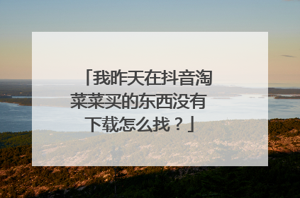 我昨天在抖音淘菜菜买的东西没有下载怎么找?