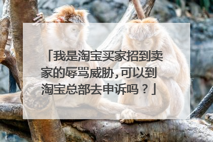我是淘宝买家招到卖家的辱骂威胁,可以到淘宝总部去申诉吗?