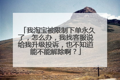 我淘宝被限制下单永久了,怎么办,我找客服说给我升级投诉,也不知道能不能解除啊?