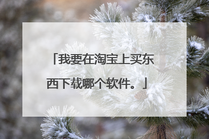 我要在淘宝上买东西下载哪个软件。