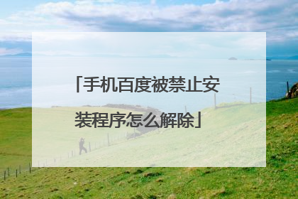 手机百度被禁止安装程序怎么解除