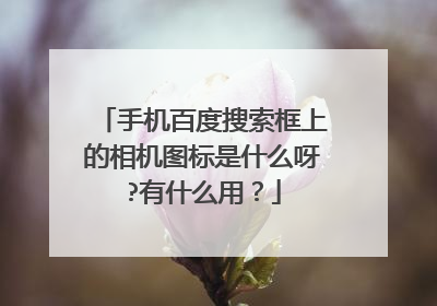 手机百度搜索框上的相机图标是什么呀?有什么用?