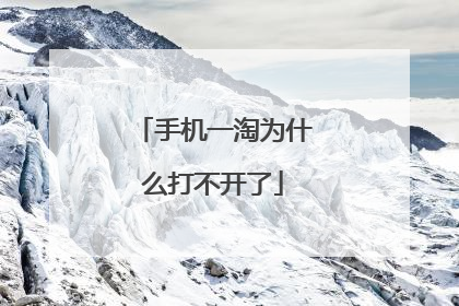 手机一淘为什么打不开了