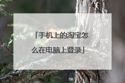 手机上的淘宝怎么在电脑上登录