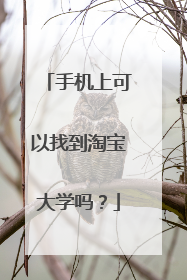 手机上可以找到淘宝大学吗?