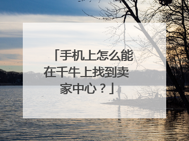 手机上怎么能在千牛上找到卖家中心？