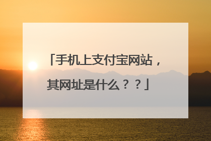 手机上支付宝网站,其网址是什么??