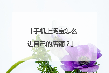 手机上淘宝怎么进自己的店铺？
